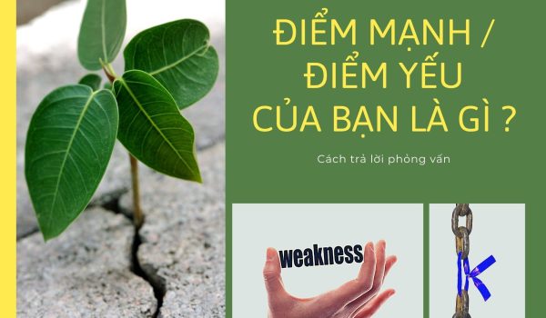 điểm mạnh, điểm yếu của bạn là gì