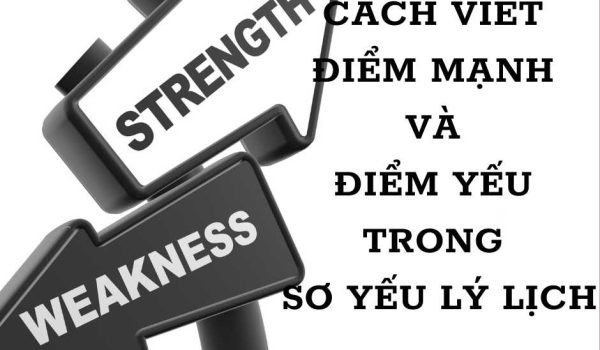 cach viet diem manh va diem yeu trong so yeu ly lich