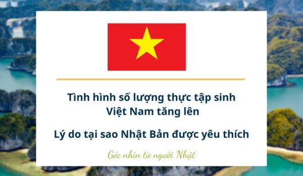 tinh hinh so luong thuc tap sinh viet nam